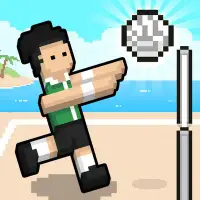 Volley Random game cover